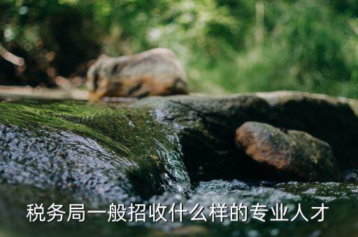 什么專業(yè)可進(jìn)稅務(wù)所，稅務(wù)局一般招收什么樣的專業(yè)人才