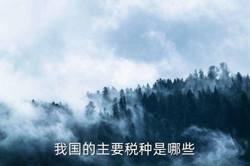中國三大稅收是什么，中國境內(nèi)的稅收種類