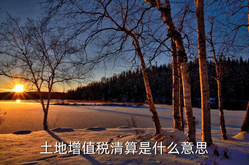 土地增值稅納稅清算什么意思，土地增值稅清算