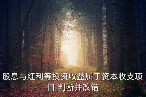 股息紅利等投資收益屬于什么，股息與紅利等投資收益屬于資本收支項目 判斷并改錯