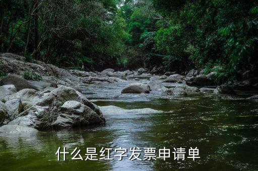 紅字申請單是什么意思，由銷售方申請開具紅字發(fā)票是什么意思