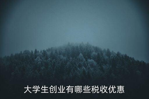 學(xué)校有什么稅收優(yōu)惠，大學(xué)生創(chuàng)業(yè)有哪些稅收優(yōu)惠