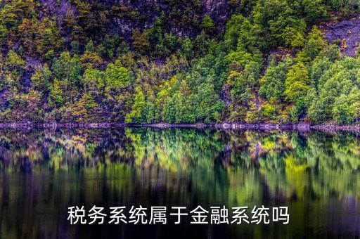 什么是稅務(wù)金山系統(tǒng)，稅收征管兩個(gè)系統(tǒng)是什么