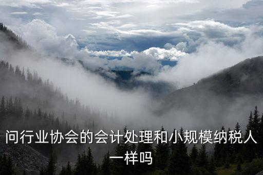 行業(yè)協(xié)會為什么納稅人，問行業(yè)協(xié)會的會計處理和小規(guī)模納稅人一樣嗎