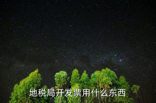 地稅局開(kāi)發(fā)票用什么東西