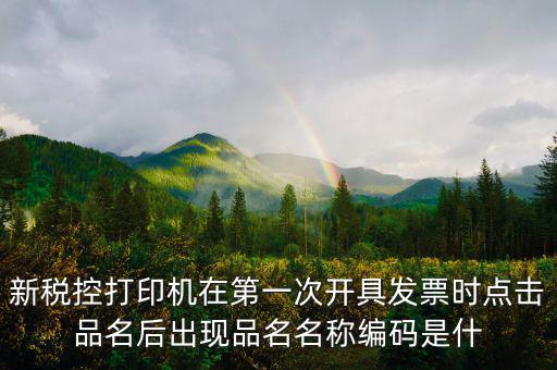 發(fā)票 商品編碼是什么，發(fā)票號碼和發(fā)票代碼是什么我的發(fā)票上只有單據(jù)編碼和貨品編號啊