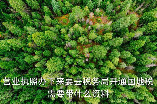 有了營(yíng)業(yè)執(zhí)照要帶什么去辦稅，拿到營(yíng)業(yè)執(zhí)照銀行開(kāi)戶(hù)后去辦稅帶什么證件