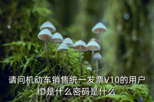 發(fā)票登錄密碼是什么，國稅局發(fā)票軟件里用戶代碼和密碼是什么