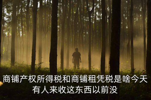 什么叫店面租憑稅，商鋪產(chǎn)權(quán)所得稅和商鋪租憑稅是啥今天有人來收這東西以前沒