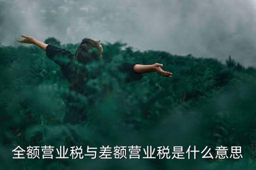 什么叫差額征稅，什么是差額稅
