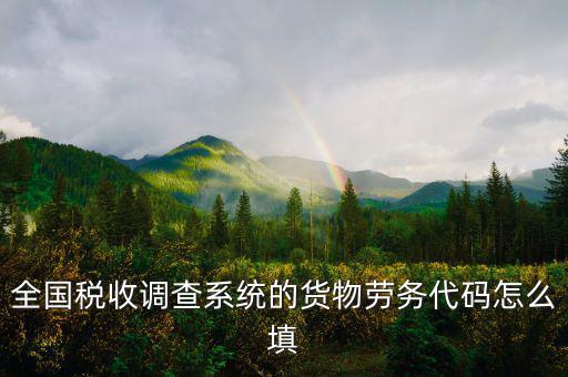 商品和勞務編碼是什么，貨物勞務代碼如何填