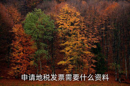 地稅局開票需要帶什么，申請地稅發(fā)票需要什么資料