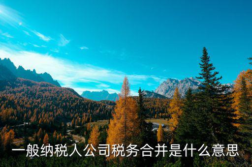 什么是合并納稅企業(yè)所得稅，企業(yè)合并是否繳納企業(yè)所得稅