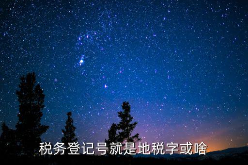 國稅地稅登記號(hào)是什么意思，稅務(wù)登記號(hào)就是地稅字或啥