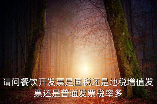 請(qǐng)問(wèn)餐飲開發(fā)票是國(guó)稅還是地稅增值發(fā)票還是普通發(fā)票稅率多