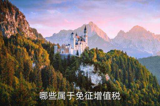 銷售什么可以免稅，哪些屬于免征增值稅