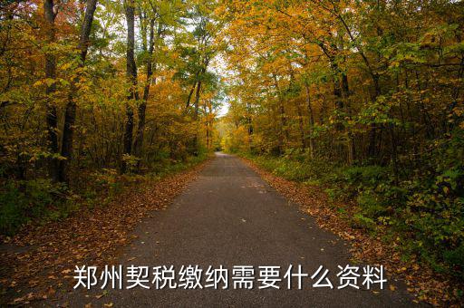 鄭州報稅用什么資料，鄭州國稅網上申報問題