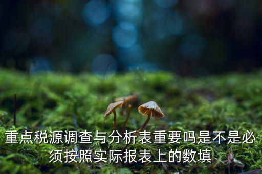 重點稅源分析分析什么，重點稅源的介紹