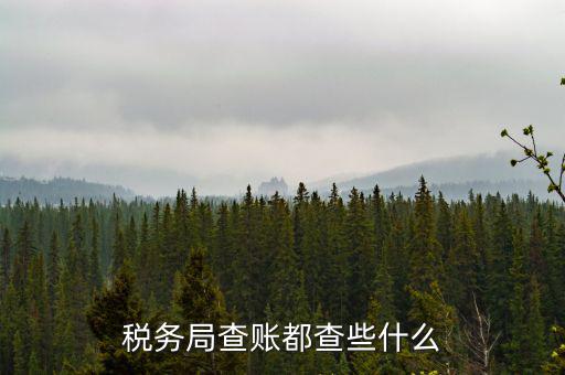 稅務(wù)局查稅一般查什么，請(qǐng)問一下老師一般稅務(wù)局人來查帳一般查什么的