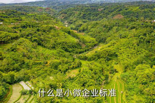 小型微利企業(yè)標(biāo)準(zhǔn)是什么，微小型企業(yè)的標(biāo)準(zhǔn)是什么