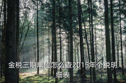 金稅三期單位怎么查2015年個稅明細表