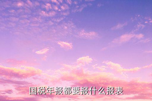 國稅年報(bào)都有什么報(bào)表，國稅年報(bào)都要報(bào)什么報(bào)表
