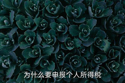 為什么要申報(bào)納稅，為什么公司老是要申報(bào)稅