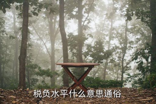 稅收管理水平是指什么，稅務(wù)管理的定義