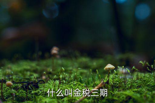 為什么叫金稅三期，2016年金稅三期上線那金稅三期到底是啥呢