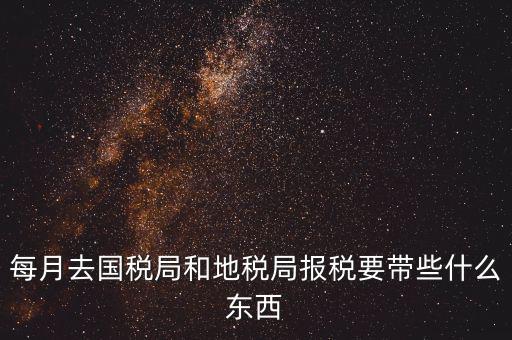 國稅大廳報稅需要什么，你好請教你一下如果我去國稅大廳報稅的話都需要帶什么東西填