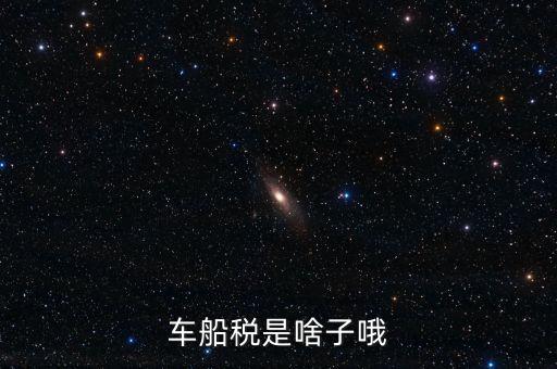 保險(xiǎn)的車船稅是什么，車船稅是啥子哦