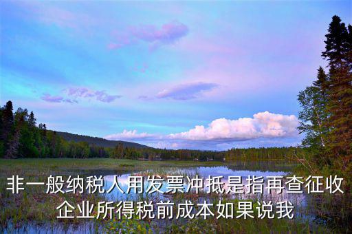 什么是非一般納稅人，非一般納稅人用發(fā)票沖抵是指再查征收企業(yè)所得稅前成本如果說(shuō)我
