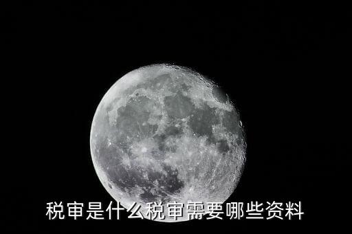 什么是大企業(yè)稅務(wù)審計(jì)，審計(jì)和稅務(wù)