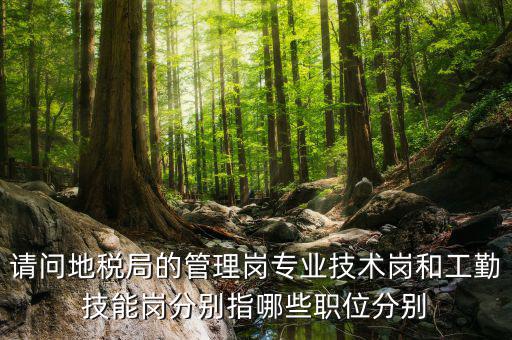 請(qǐng)問(wèn)地稅局的管理崗專(zhuān)業(yè)技術(shù)崗和工勤技能崗分別指哪些職位分別