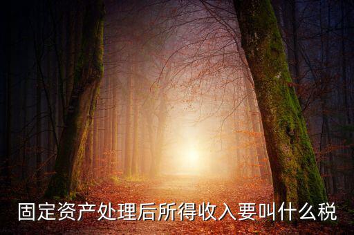 什么叫做試點納稅人，固定資產(chǎn)處理后所得收入要叫什么稅