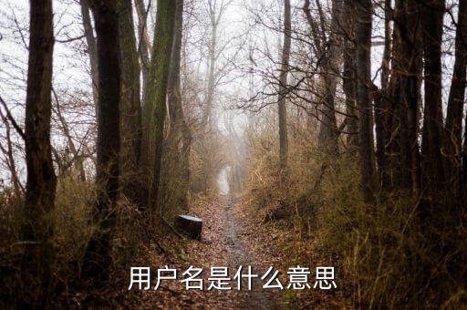 個稅用戶名是指什么意思，用戶名是什么意思