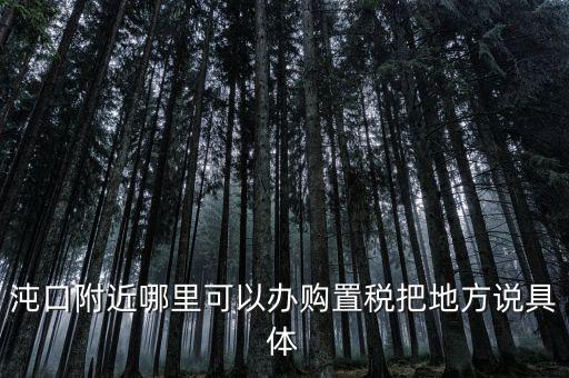 漢陽稅務(wù)局什么車，沌口附近哪里可以辦購置稅把地方說具體