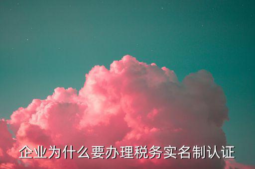 為什么辦稅實名制，國家稅務實行實名制是為了什么