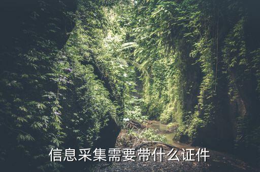實名信息采集帶什么東西，去銀行辦理對公信息采集表需要帶哪些東西