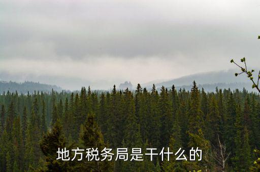 地稅局涉外稅收做什么，陜西發(fā)票涉外地稅是什么意思