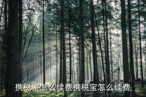 稅寶續(xù)費(fèi)帶什么意思，攜稅寶續(xù)費(fèi)后怎樣使用