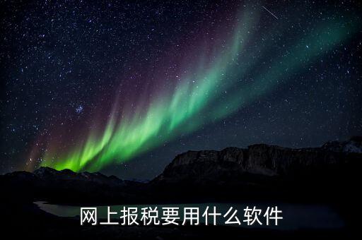 納稅申報(bào)的軟件是什么，申報(bào)軟件是什么