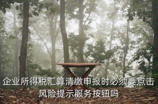 企業(yè)所得稅匯算清繳申報(bào)時必須要點(diǎn)擊風(fēng)險(xiǎn)提示服務(wù)按鈕嗎