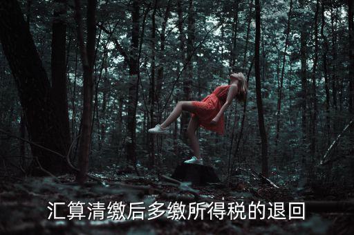 匯算清繳多繳稅款什么時(shí)候退，企業(yè)所得稅匯算清繳退款什么時(shí)候到賬