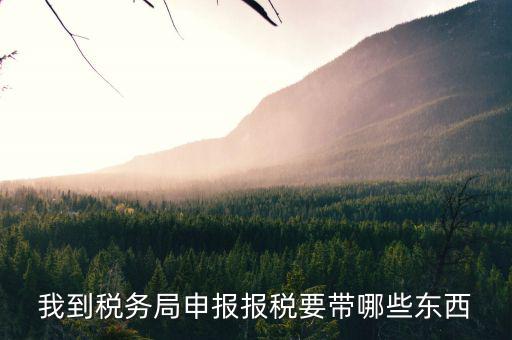 去ems申報稅務需要帶什么區(qū)別，我到稅務局申報報稅要帶哪些東西