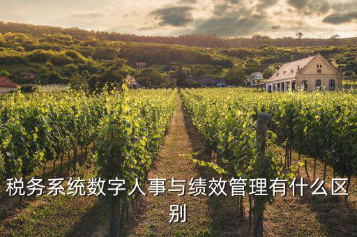 什么是稅務(wù)績效管理工作亮點，績效管理是什么