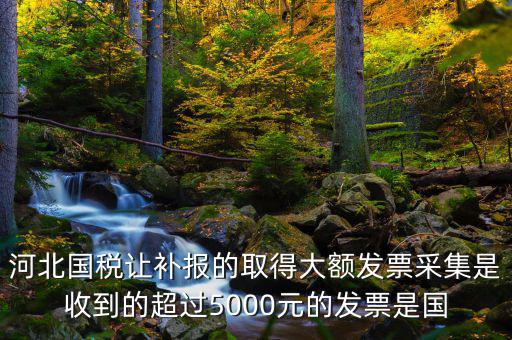 河北國稅讓補(bǔ)報的取得大額發(fā)票采集是收到的超過5000元的發(fā)票是國