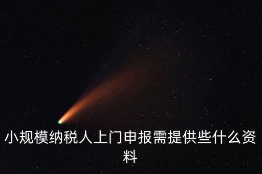 什么是上門申報，小規(guī)模納稅人上門申報需提供些什么資料