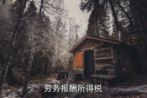什么是勞動(dòng)報(bào)酬稅，勞務(wù)稅是什么