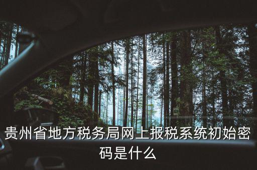 黑龍江電子稅務(wù)是什么，貴州省地方稅務(wù)局網(wǎng)上報(bào)稅系統(tǒng)初始密碼是什么